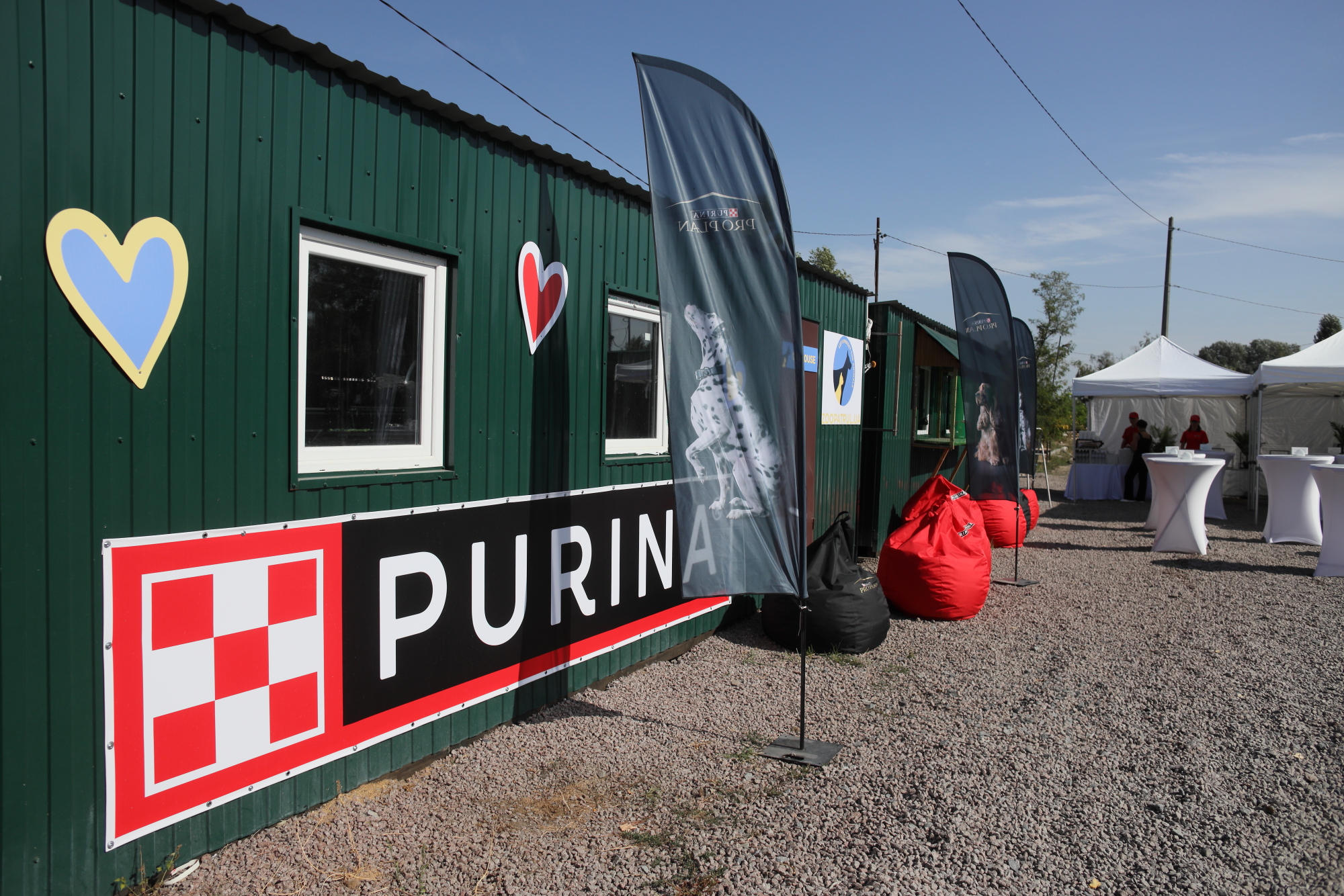 Рядом, чтобы помогать: Purina® и "Зоопатруль" объединились для спасения животных